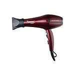 سشوار حرفه ای پرینسلی مدل PR250AT