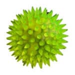 اسباب بازی سگ توپ مدل Latex Dog Ball