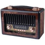 رادیو اسپیکر بلوتوثی رم و فلش خور Meier M-1916BT