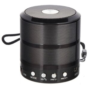اسپیکر بلوتوثی وستر Mini WS-887