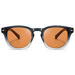 عینک آفتابی پنتوس (Pantos) آلبرت وگ مدل S31130C3 Acetate Avantgarde Visionary