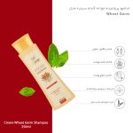 شامپو مو سینره مدل Wheat Germ حجم 250 میلیلیتر