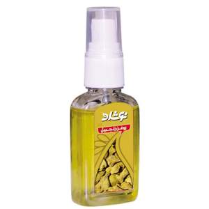 روغن زنجبیل نوشاد مدل Ginger Oil حجم 37 میلی لیتر