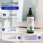 شامپو مو برایمن مدل Seaweed مناسب برای موهای خشک و آسیب دیده حجم 300 میلی‌لیتر