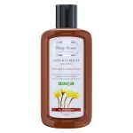 شامپو ضد شوره مو دیپ سنس مدل Willow Bark و Coltsfoot مناسب انواع مو حجم 200 میلی لیتر