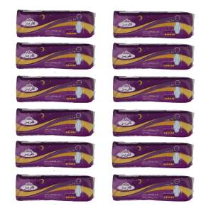 نوار بهداشتی گلریز کد 03 بسته 12 عددی