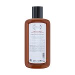 شامپو ضد شوره مو دیپ سنس مدل Willow Bark و Coltsfoot مناسب انواع مو حجم 200 میلی لیتر