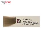 رنگ مو پادینا شماره C9-10-1 حجم 100 میلی لیتر رنگ بلوند نقره ای