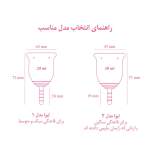 کاپ قاعدگی لیوا فارما مدل Plus سایز کوچک مجموعه 2 عددی