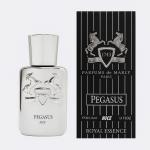 عطر جیبی مردانه نایس مدل پگاسوس با رایحه گرم حجم ۳۲ میلی‌لیتر