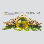 رنگ مو اسکلاره شماره 7.7 حجم 120 میلی لیتر رنگ بلوند شکلاتی متوسط