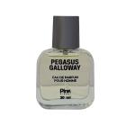 عطر جیبی مردانه پینک ویژوال مدل Pegasus Galloway حجم 30 میلی لیتر