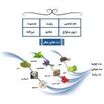 عطر جیبی یاغیش مدل CK07 حجم 24 میلی لیتر مجموعه 4 عددی