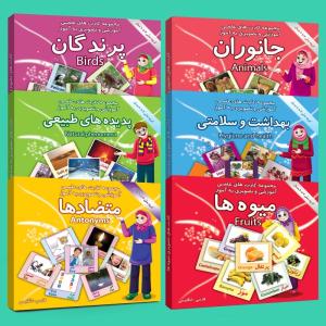 فلش کارت های علمی آموزشی و تصویری دوزبانه 2 تا 10 سال انتشارات امین آذر مجموعه 6 عددی