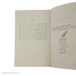 کتاب آینده پسرت را بساز اثر مایکل سی ریچرت انتشارات کتاب کوله پشتی