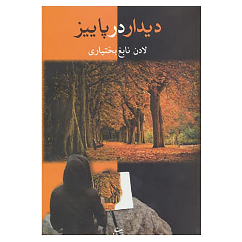 کتاب دیدار در پاییز اثر لادن نابغ بختیاری