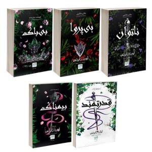 کتاب ناتوان، قدرتمند، بی پروا، بی باک و بیمناک اثر لورن رابرتس نشر آذرگون 5 جلدی