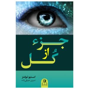 کتاب جزء از کل اثر استیو تولتز ترجمه نسرین دورقی‌زاده انتشارات ارتباط نوین