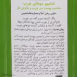 شامپو دیپ سنس مدل Amla حجم 400 میلی‌لیتر با خاصیت تقویت‌کنندگی و ضد شوره مناسب پوست سر چرب