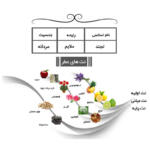 عطر جیبی یاغیش مدل CK09 حجم 24 میلی لیتر مجموعه 4 عددی