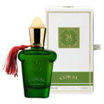 عطر جیبی مردانه برندینی مدل Coral حجم 33 میلی لیتر