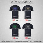 تیشرت آستین کوتاه مردانه رانژ مدل 21RA28D04M-1024-01
