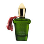عطر جیبی مردانه برندینی مدل Coral حجم 33 میلی لیتر